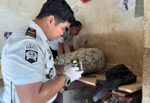 Steril dari Narkoba, Rutan Sumenep Gelar Tes Urine dan Sidak