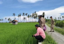 Mitigasi Kekeringan, Penyuluh Jadi Garda Depan