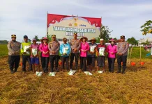 Sinergi Lintas Sektor di Desa Paberasan Perkuat Produktivitas Petani