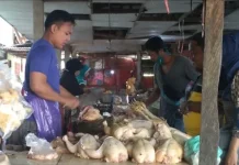 Harga Ayam Potong di Pasar Sumenep Turun