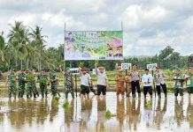 BPP Batang - Batang Sumenep Genjot Tanam Padi Jagung