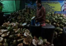 Harga Kelapa Muda Normal, setelah Tinggi saat Ramadan