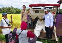 Program Sergab 2026 Perdana Digelar di Sumenep, Serapan Gabah Lampaui Target