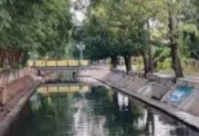 Warga Diimbau Waspadai Konsumsi Ikan Sapu-Sapu Sungai