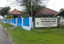 BMKG Prediksi Musim Kemarau di Madura Meluas hingga Mei 2026