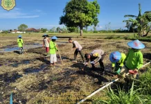 Polsek Gapura Sumenep Dukung Ketahanan Pangan