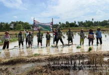Kementan RI Dukung Jatim Genjot Percepatan Tanam Serentak