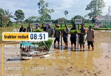 Brigade Pangan Ataneh Atana'Dukung Percepatan Tanam padi Melalui Modernisasi