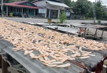 Usaha Kerupuk Ikan Jadi Andalan Warga Pinggirpapas, Perkuat Ekonomi Pesisir