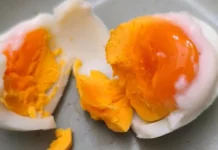 Telur Kampung Omega Kaya Nutrisi Pilihan Sehat Keluarga