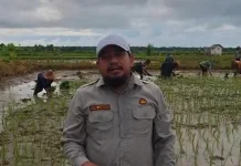 Dorong Swasembada, Kementan Gencarkan Tanam Serentak di Sumenep