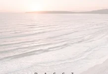 BASS3 Kembali Merilis Single Bertajuk “Dialog Harmonic”