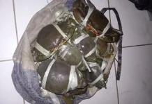 Mencari Kepiting untuk Menyambung Hidup