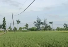 Sumenep Didominasi Cerah Berawan, Waspada Hujan Ringan di Kepulauan