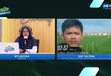 Hama Keong Serang Sawah, Petani Diminta Lakukan Ini