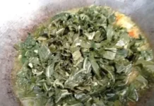 Resep Bobor Daun Singkong Pedas, Hidangan Rumahan Khas Jombang