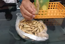 Sele Pisang Goreng Khas Sumenep Mampu Bersaing hingga Luar Daerah Sumenep