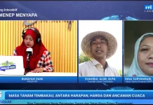 DKPP Sumenep Pastikan Dukungan Sarana Tembakau Hadapi Musim Tanam