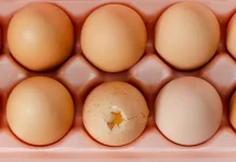 Telur Retak di Kulkas, Masih Aman atau Harus Dibuang?