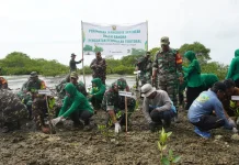 Kodim Sumenep Tanam 3.500 Mangrove Cegah Abrasi di Pantai Kundang