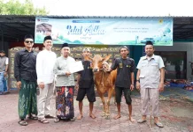 Semangat Kurban Warnai Aktivitas Pegawai PLN di Madura