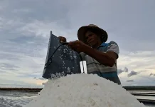 Dinas Perikanan Sumenep Soroti Dampak Garam Impor terhadap Petani Lokal