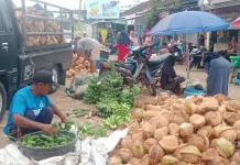 Musim Resepsi Ramai Digelar, Harga Kelapa di Sumenep Stabil