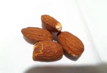 Mengapa Kacang Almond Jadi 'Sahabat Terbaik' untuk Diet Sehat? Ini Rahasianya!
