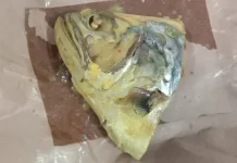 Masakan Padang Kelapa Ikan Menggugah Selera