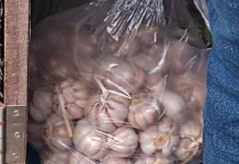 Harga Bawang Putih Merangkak Naik, Ibu Rumah Tangga Mulai Kurangi Pembelian