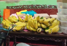 Buah Pisang Tak Lepas dari Budaya Masyarakat Indonesia