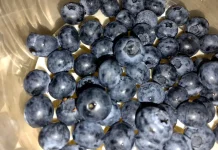 Rahasia Sehat di Balik Blueberry