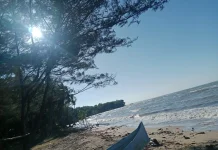 Liburan Hemat di Pantai Grujugan, Indah Alami tanpa Tiket Masuk