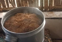 Kukus Tembakau, Solusi Harumkan Tembakau Berbau Apek