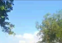 BMKG: Masuki Puncak Kemarau, Warga Diminta Waspadai Bediding dan Angin Kencang