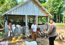 Polisi Dampingi Peternak Bebek di Bluto
