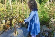 Liburan Edukatif: Belajar Bertani Sambil Memetik Tomat di Kebun