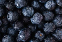 Rahasia Warna Biru Blueberry