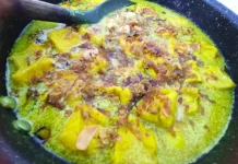 Opor Daging dan Tahu, Sajian Istimewa untuk Keluarga