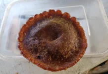 Kue Cucur Buatan Rumahan di Sumenep Pertahankan Rasa Tradisional