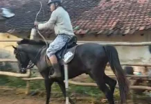 Berkuda dan Memanah, Tradisi yang Terus Hidup di Ganding Sumenep