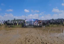 Sumenep Siap Kembangkan PMAAS menuju 10 Ton