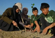 Ribuan Mangrove Ditanam untuk Menjaga Pesisir Kepulauan Sumenep