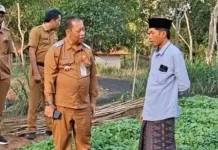 DKPP Sumenep Perkuat Pendampingan Petani Tembakau lewat Pembibitan Prancak 95
