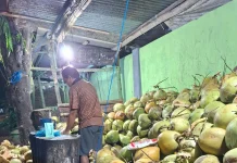 Kelapa Degan Masih Diminati, Jadi Pilihan Pelepas Dahaga