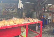 Harga Ayam Potong di Sumenep Melonjak ke Rp44 Ribu