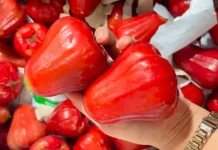 Jambu Citra, Buah Segar yang Mulai Diminati Warga Sumenep