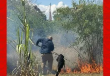 Kebakaran Lahan di Samping Kantor RRI Sumenep, Api Berhasil Dipadamkan