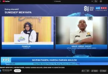 Harga Garam Anjlok, Petani Garam Madura Minta Regulasi Pemerintah