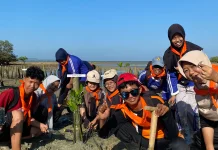 Hari Keenam Eco Learning School 2026, Siswa Tanam 100 Mangrove di Pesisir Saronggi